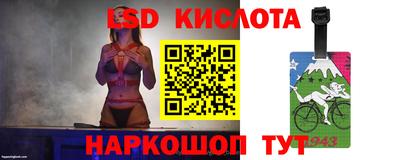 винт Камышлов