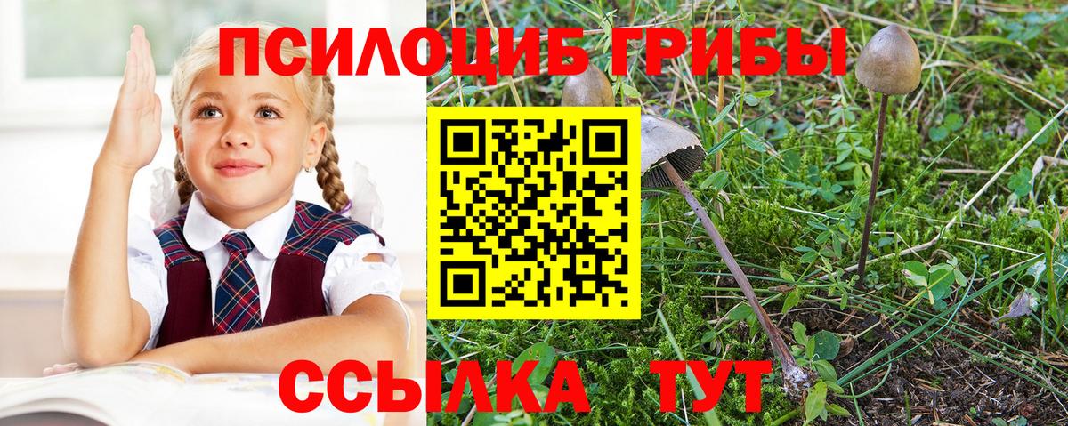 Псилоцибиновые грибы мухоморы Кириши