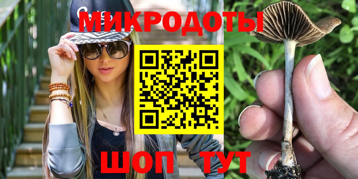 закладки  Псилоцибиновые грибы GOLDEN TEACHER  Вход с VPN  Кириши 
