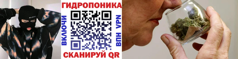 где найти   Кириши  Конопля Amnesia 